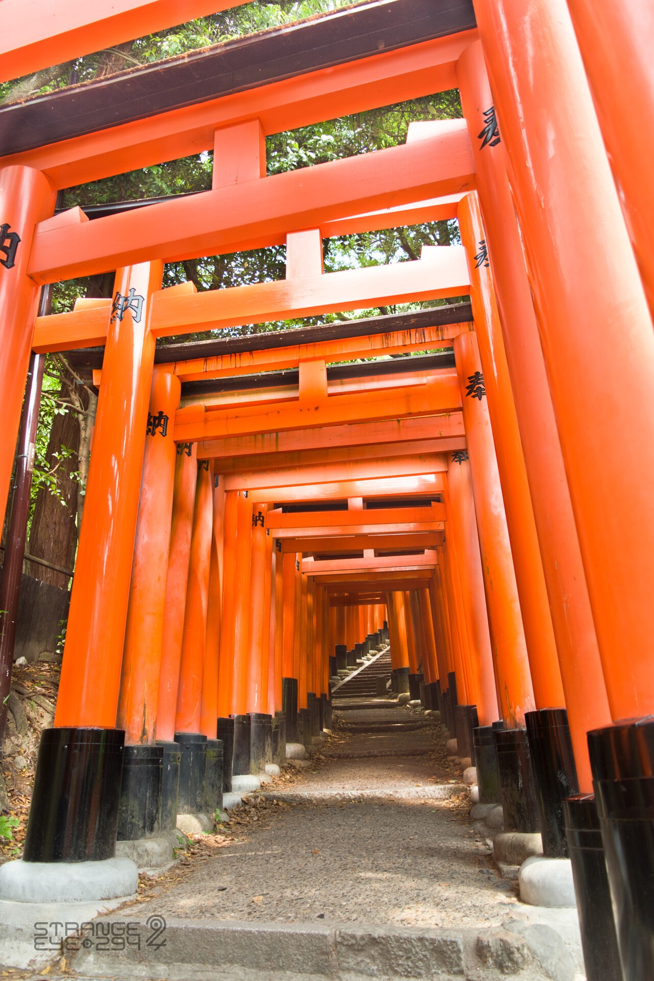 A path through rows of vermilion torii gates at Fushimi Inari Taisha, Kyoto