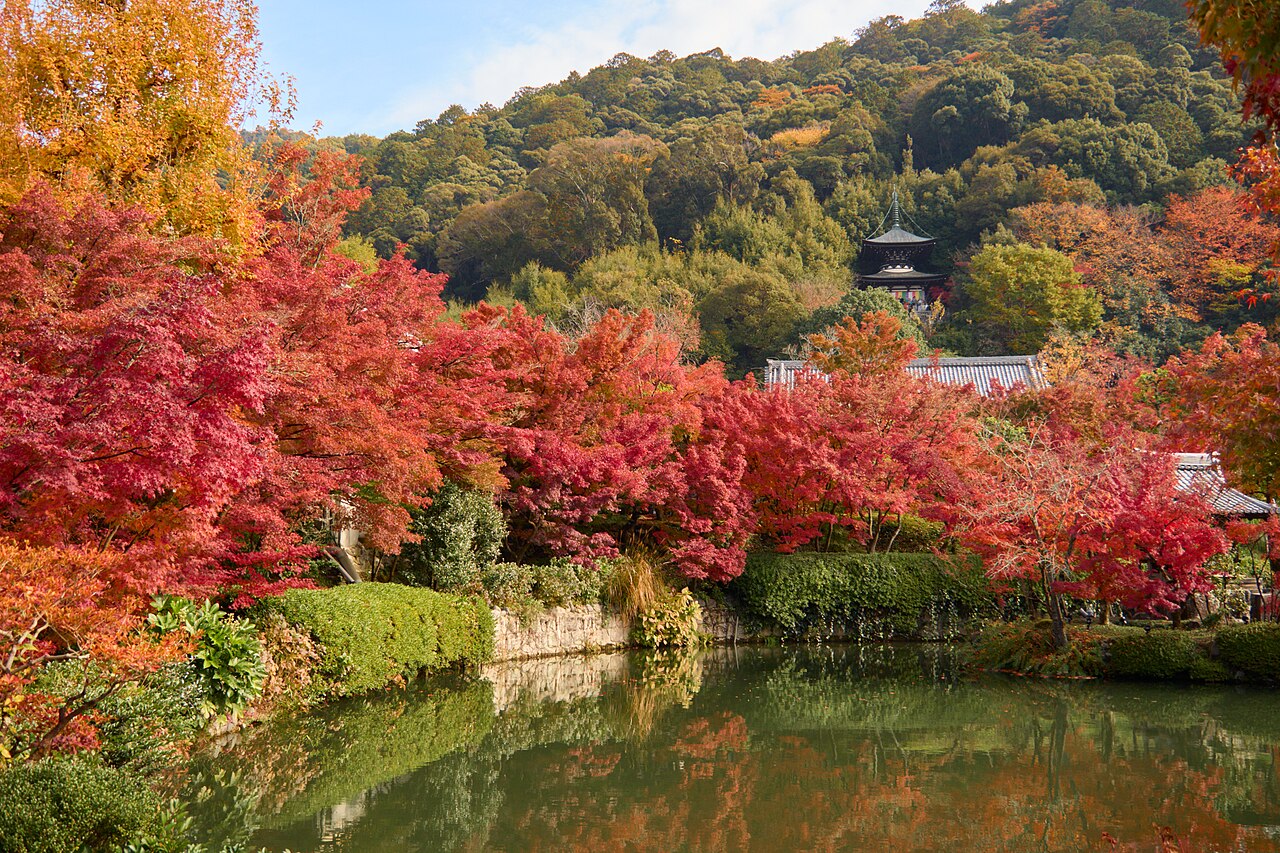 Eikando temple grounds in Kyoto, with a pagoda above the pond and trees